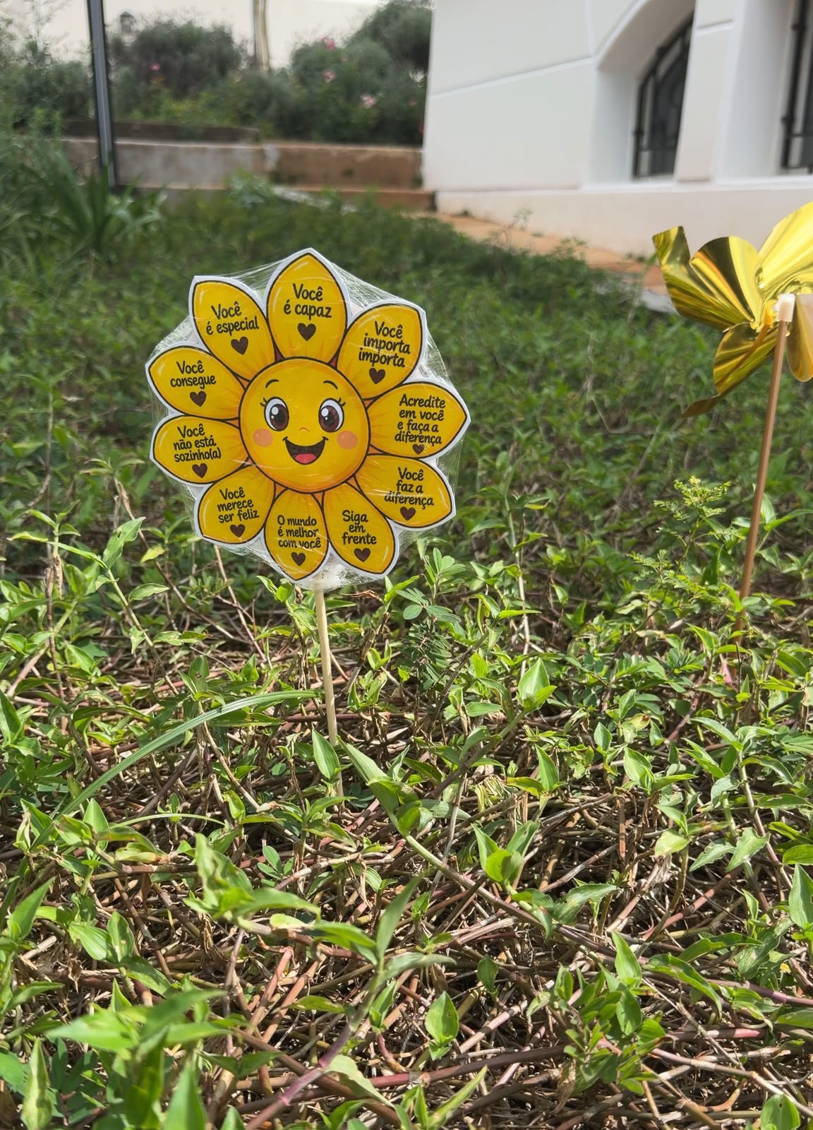 Mensagem de valorização da vida no Instituto Arte e Vida